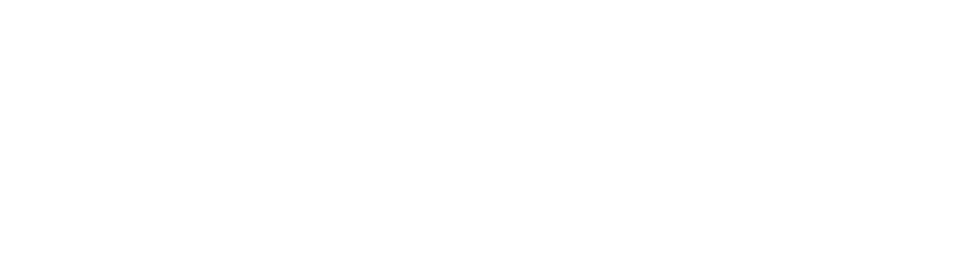 ANDROGINA FILMS